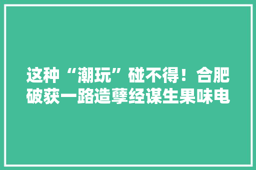 这种“潮玩”碰不得！合肥破获一路造孽经谋生果味电子烟案件