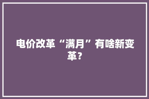 电价改革“满月”有啥新变革？