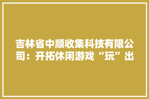 吉林省中顺收集科技有限公司：开拓休闲游戏“玩”出新寰宇 吉林省中顺收集科技有限公司：开拓休闲游戏“玩”出新寰宇 智能家居