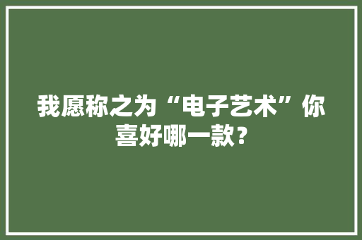 我愿称之为“电子艺术”你喜好哪一款？,设计网页用什么软件。