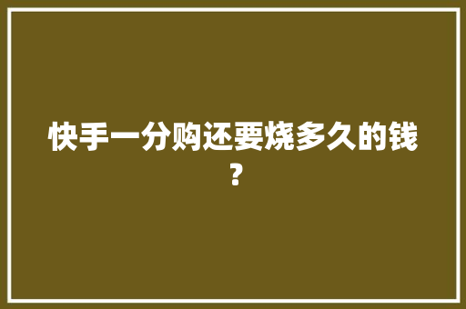 快手一分购还要烧多久的钱？
