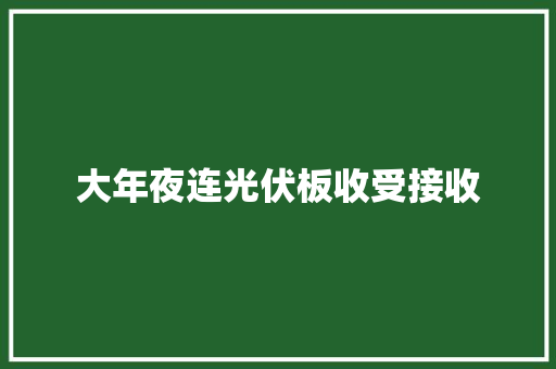 大年夜连光伏板收受接收