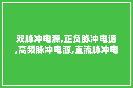 双脉冲电源,正负脉冲电源,高频脉冲电源,直流脉冲电源
