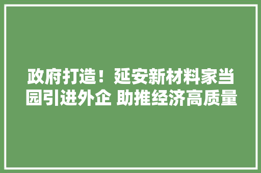 政府打造！延安新材料家当园引进外企 助推经济高质量成长