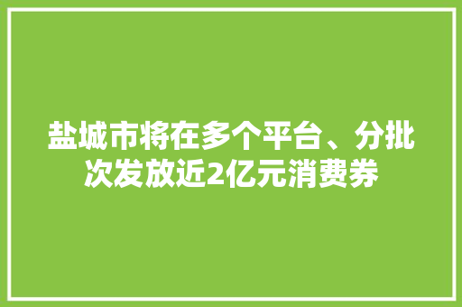 盐城市将在多个平台、分批次发放近2亿元消费券