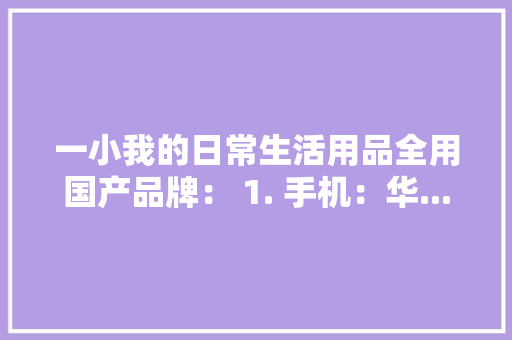 一小我的日常生活用品全用国产品牌： 1. 手机：华...