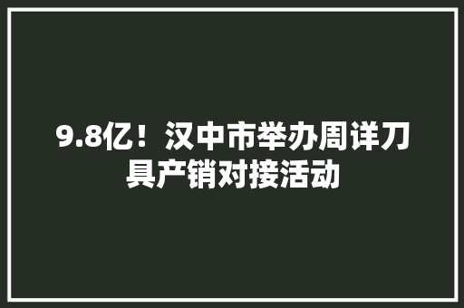 9.8亿！汉中市举办周详刀具产销对接活动