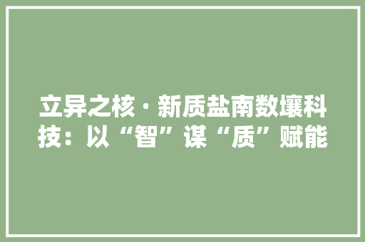 立异之核 · 新质盐南数壤科技：以“智”谋“质”赋能传统家当“焕新”