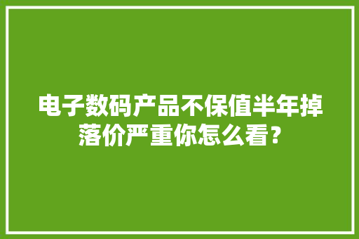 电子数码产品不保值半年掉落价严重你怎么看？