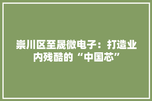 崇川区至晟微电子：打造业内残酷的“中国芯”