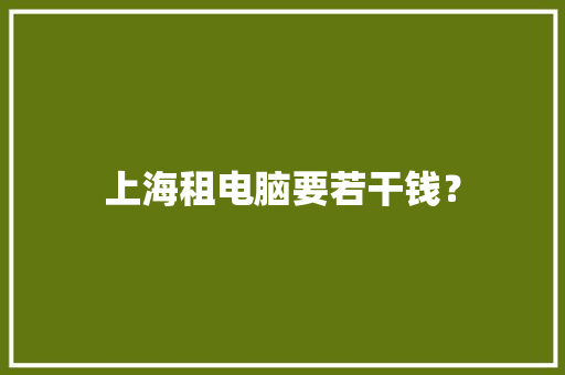 上海租电脑要若干钱？