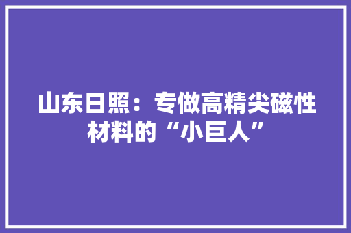 山东日照：专做高精尖磁性材料的“小巨人”