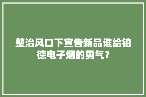 整治风口下宣告新品谁给铂德电子烟的勇气？