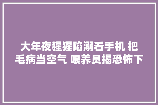 大年夜猩猩陷溺看手机 把毛病当空气 喂养员揭恐怖下场