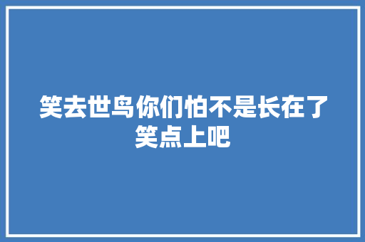 笑去世鸟你们怕不是长在了笑点上吧