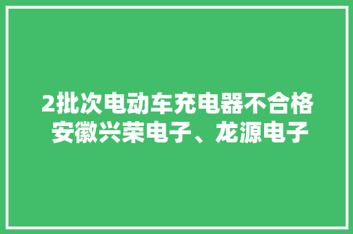 2批次电动车充电器不合格 安徽兴荣电子、龙源电子、济南山佳电动车经营部等上黑榜