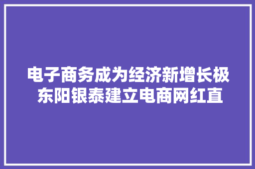 电子商务成为经济新增长极 东阳银泰建立电商网红直播城