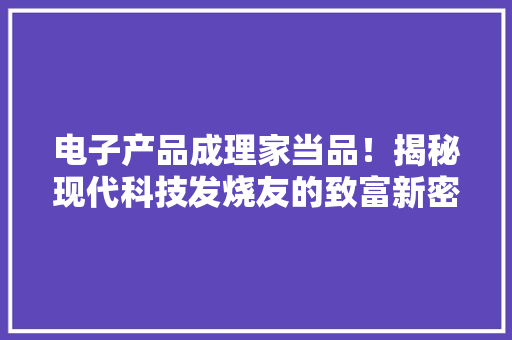 电子产品成理家当品！揭秘现代科技发烧友的致富新密码