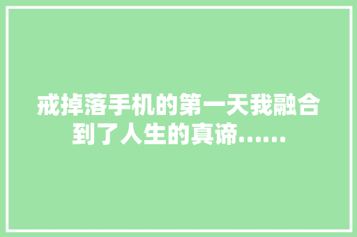 戒掉落手机的第一天我融合到了人生的真谛……