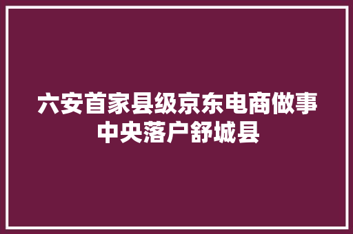 六安首家县级京东电商做事中央落户舒城县,京东快递单号查询。