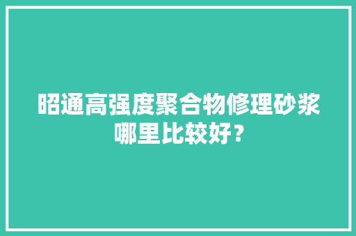 昭通高强度聚合物修理砂浆哪里比较好？,昭通法律服务所。