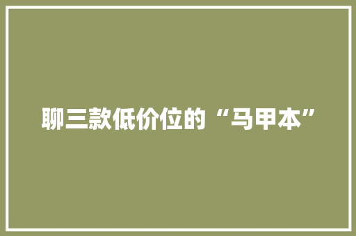聊三款低价位的“马甲本”,京东2024q2财报。