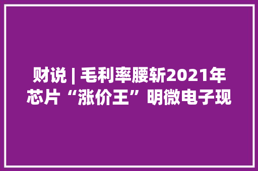 财说 | 毛利率腰斩2021年芯片“涨价王”明微电子现原形