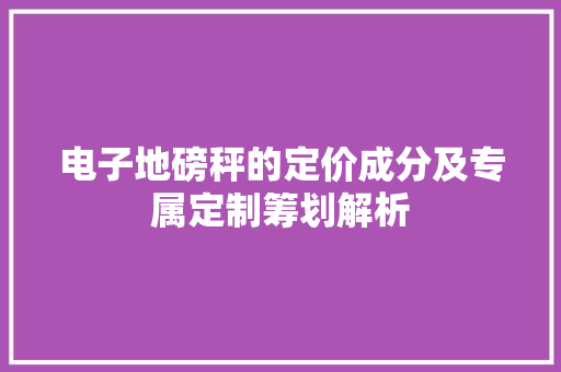 电子地磅秤的定价成分及专属定制筹划解析,地磅厂家100吨价格。