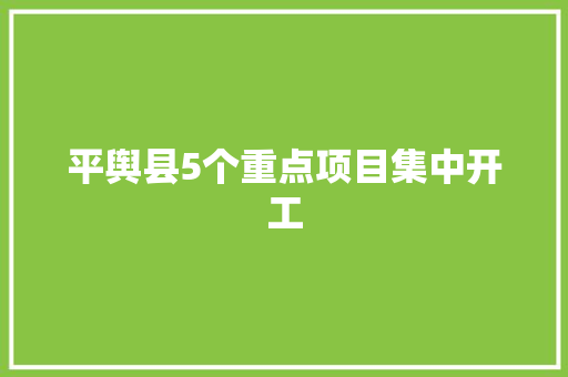 平舆县5个重点项目集中开工,项目管理系统软件。