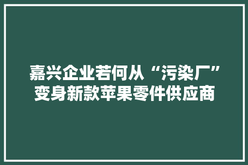 嘉兴企业若何从“污染厂”变身新款苹果零件供应商,瑞祥商联卡在哪可以用。
