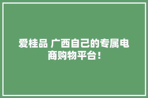 爱桂品 广西自己的专属电商购物平台！