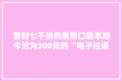 昔时七千块的索尼口袋本如今沦为300元的“电子垃圾”