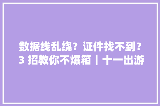 数据线乱绕？证件找不到？ 3 招教你不爆箱｜十一出游收纳指南,收纳师资格证怎么报考。