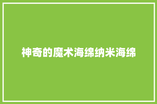 神奇的魔术海绵纳米海绵,海绵宝宝。