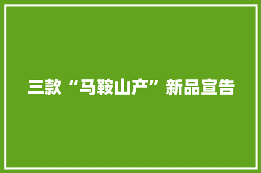 三款“马鞍山产”新品宣告 三款“马鞍山产”新品宣告 智能科技