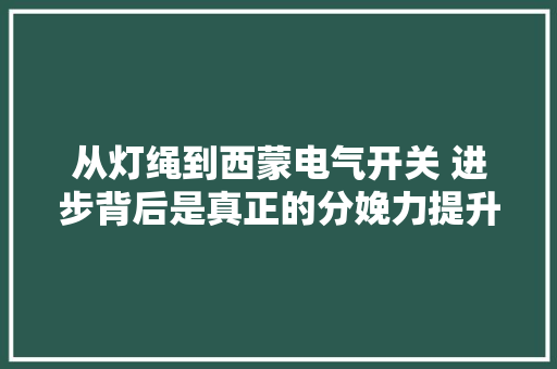 从灯绳到西蒙电气开关 进步背后是真正的分娩力提升 从灯绳到西蒙电气开关 进步背后是真正的分娩力提升 智能科技