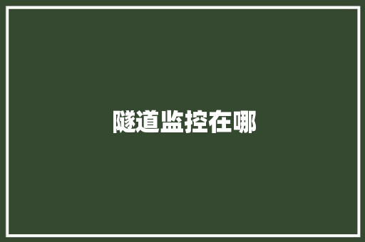 隧道监控在哪 隧道监控在哪 互联通信