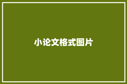 小论文格式图片,论文格式。