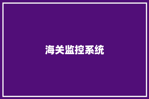 海关监控系统 海关监控系统 智能家居