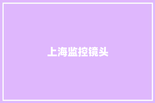 上海监控镜头 上海监控镜头 智能科技
