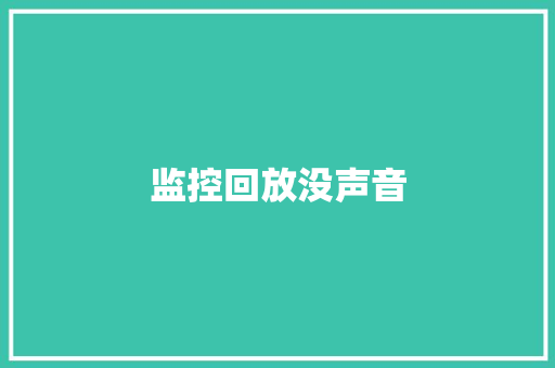 监控回放没声音,音频怎么转换成文字。