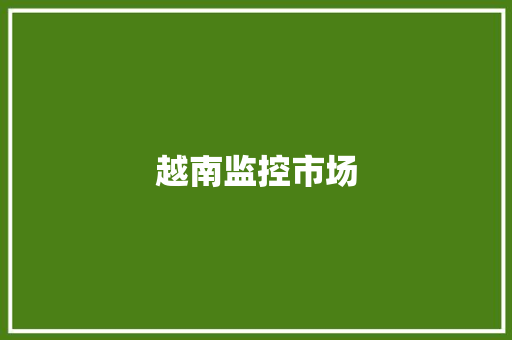 越南监控市场,越南币换人民币汇率。
