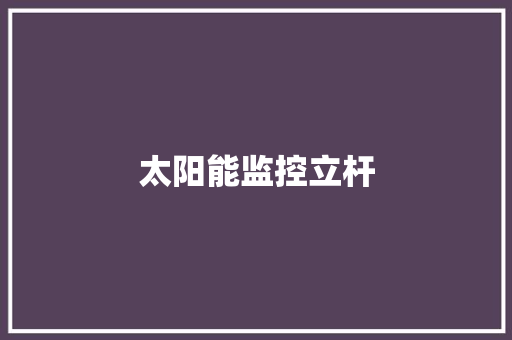 太阳能监控立杆,太阳能光伏发电。