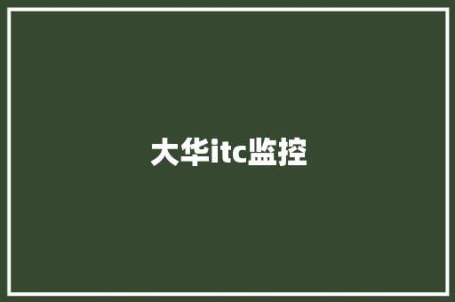 大华itc监控