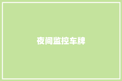 夜间监控车牌