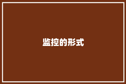 监控的形式