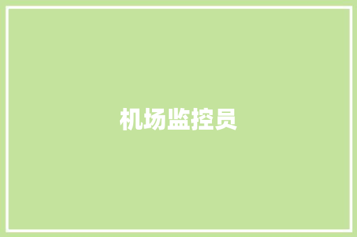 机场监控员 机场监控员 人工智能