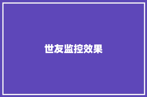 世友监控效果