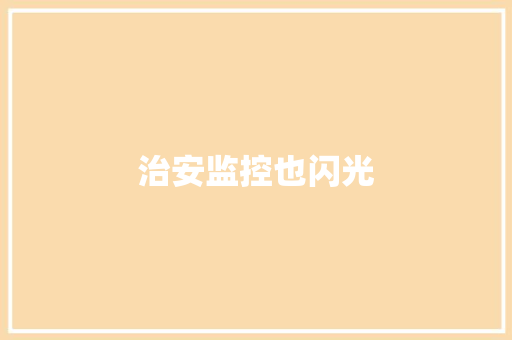 治安监控也闪光
