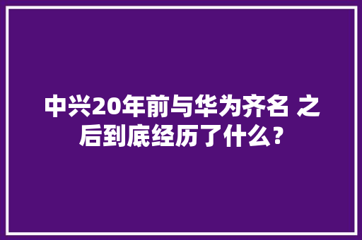 中兴20年前与华为齐名 之后到底经历了什么？